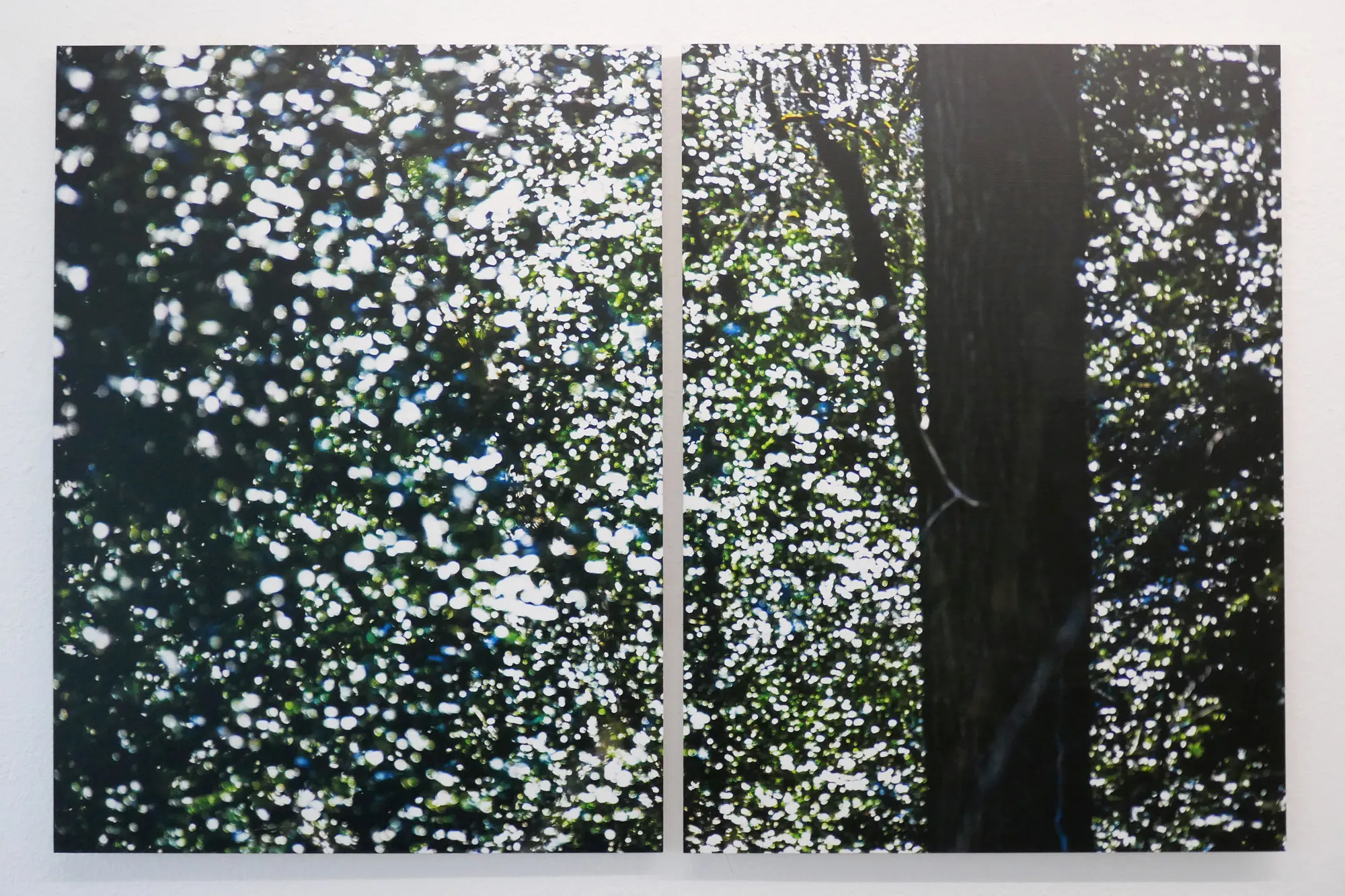 Ausstellung Imagining Futures