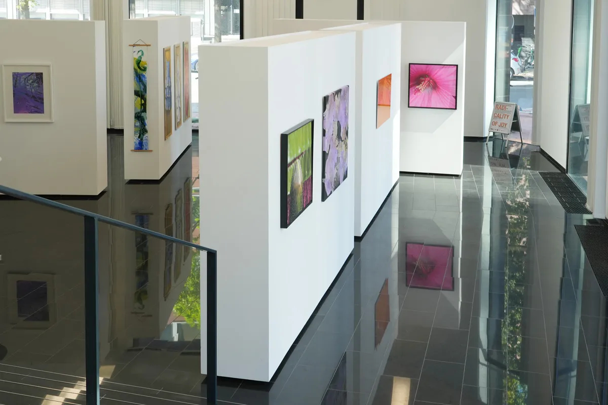 Ausstellung Radicality of Joy