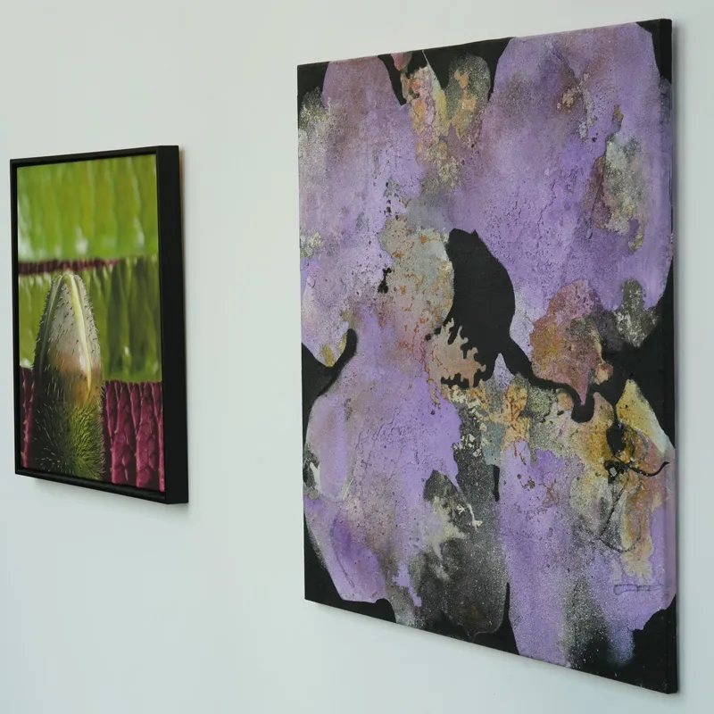 Ausstellung Radicality of Joy