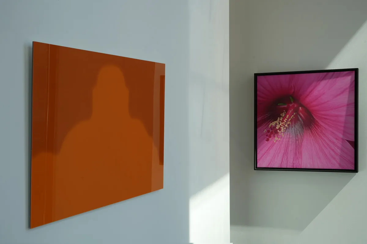 Ausstellung Radicality of Joy